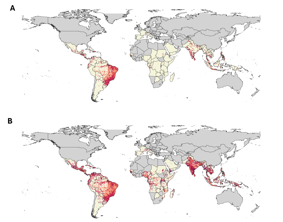 Maps representing risk of transmission of chikungunya based on current data available (A) and with at-risk areas based on suitability of the environment for chikungunya included (B). The darker the shading, the higher the risk. Credit: Kang H et al.