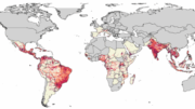 Map showing risk of chikungunya transmission. The darker the shading, the higher the risk. Credit Kang H et al